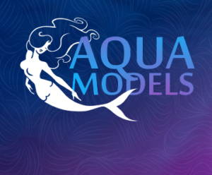 вебкам студия AQUAMODELS Владимирская, Санкт-Петербург, Россия