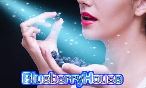 вебкам студия BlueberryHouse Екатеринбург, Свердловская обл., Россия