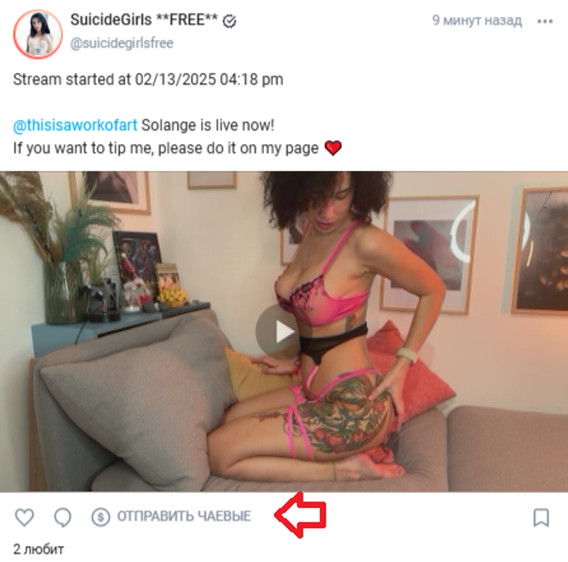 Что такое Onlyfans - самый популярный в мире сайт с платными подписками 18+