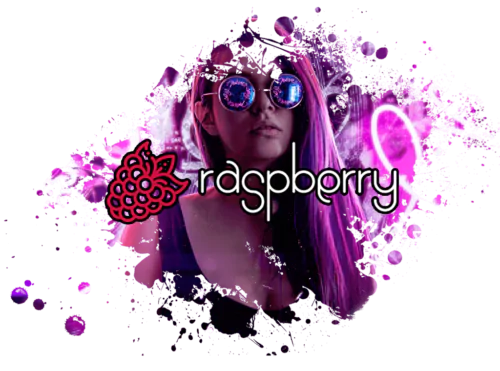 вебкам студия Raspberry ул. Семьи Шамшиных, 18, Новосибирск