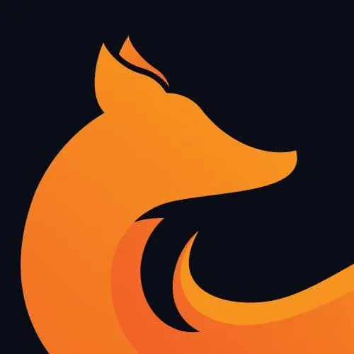 вебкам студия RedFox Studio Большая Затонская ул., 3А, Саратов, Саратовская обл., Россия, 410031