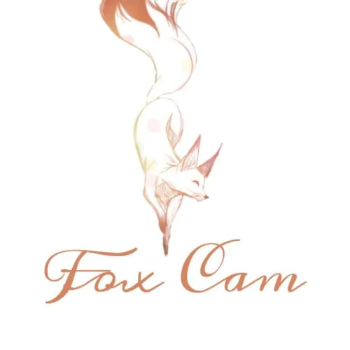 вебкам студия Fox Cam Санкт-Петербург, Россия