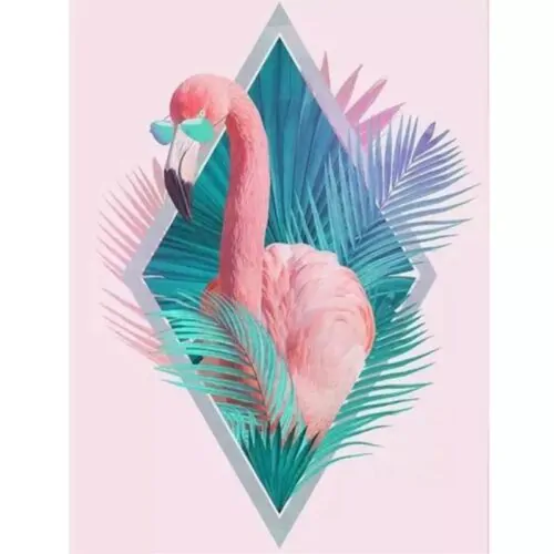 вебкам студия Pink Flamingo House Краснодар, Краснодарский край, Россия