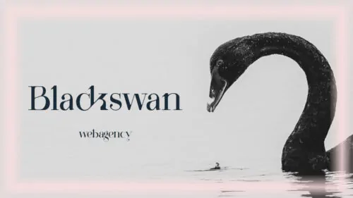 вебкам студия Blackswan Приморская, Санкт-Петербург, Россия, 199155