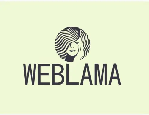 вебкам студия Web Lama наб. канала Грибоедова, 133, Санкт-Петербург, Россия, 190068