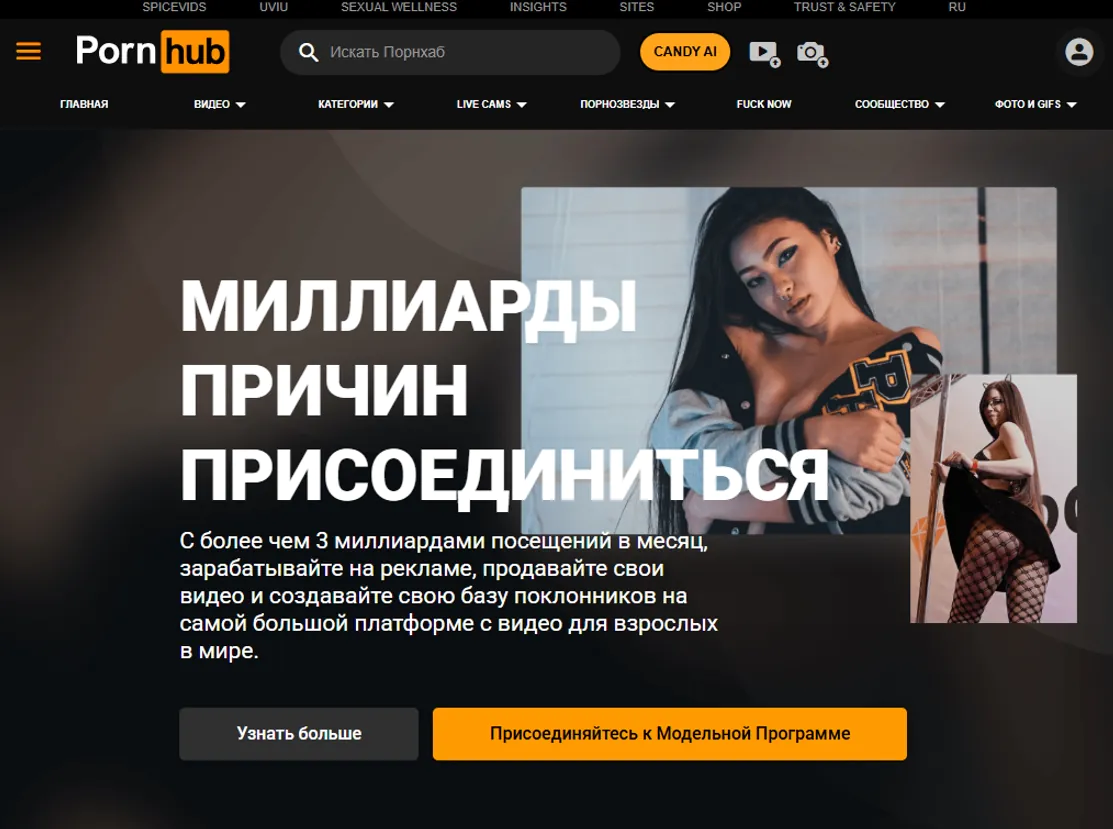 заработок в порнхаб